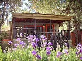 Carter`s Charm Cabin