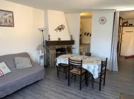 Appartement 5 Pers Pieds des pistes