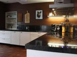 Gezellige Ruime Villa incl Hottub Sauna en Gamesroom
