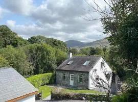 Bryn Rhedyn cottage