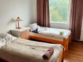 Hetekka Linjapuisto