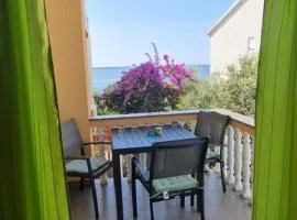 Cozy family apt Iris only 20m from the beach in Mandre