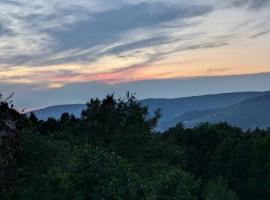 Ferme pleine nature, vue splendide 2 chambres cheminée, Hotel in Le Thillot