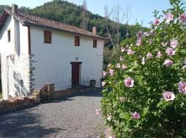 Molino De Pradillo