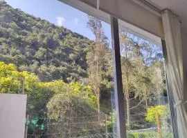 Mirador samsara Suite vista al bosque 25 mt2