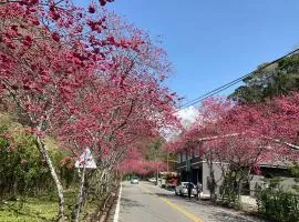 微楓民宿 可加購晚餐酸白菜火鍋