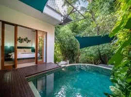 Magic River Villa Rice field view
