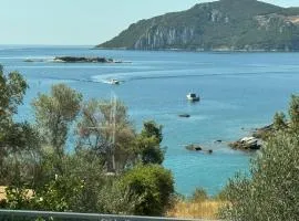 Acra Melia