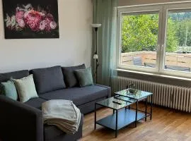 Ferienwohnung Passau-Grubweg
