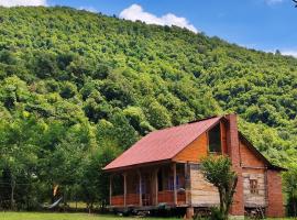 Forest Dream ტყის სიზმარი, hotel pro pobyt s dom&aacute;c&iacute;mi mazl&iacute;čky v destinaci Tsʼageri