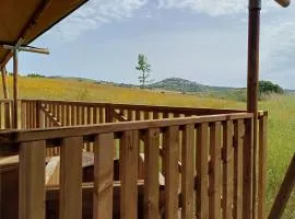 Glamping Podere Angiotto LODGE MONTIANO
