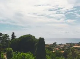Minavita