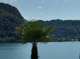 Neue Gartenwohnung mit Sicht auf den Luganersee