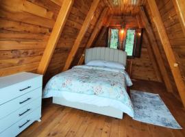 YEŞİL VADİ RESTORAN ve KONAKLAMA, hotel v destinaci Artvin