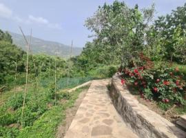 GUEST HOUSE FELAU,Leusë, hotel en Përmet