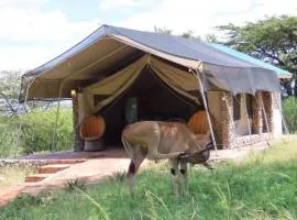 Giraff maasai mara home stay&safaris
