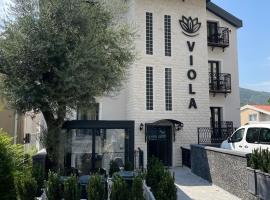 Viola Hotel Budva
