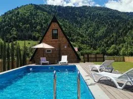 Eco cottage in Borjomi with pool 1