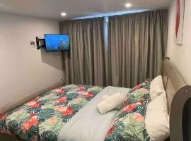 Tiny Home in Mosgiel