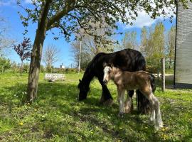 Het Tinkerparadijs, paarden, rust en ruimte., khách sạn ở Burgh Haamstede