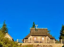 Chalet Velika Planina with Sauna - I FEEL ALPS