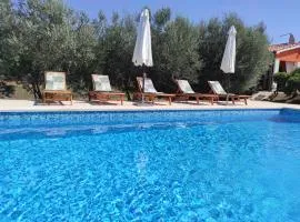 Villa Dorina