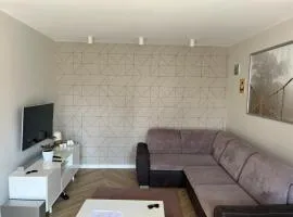 Spacious Apartment Chmielna Park Oldtown