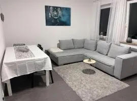 Zentrale Wohnung in Ostrach