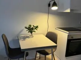 Liten og moderne hybel med gratis parkering