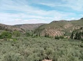 El Almendro de la Tia Teresa