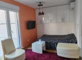 Apartment Stevanovic Belgrade