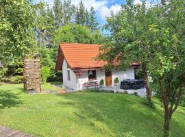 Domek Nad Strumykiem, hotel in Duszniki Zdrój