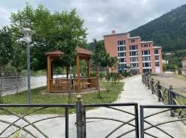 Svani