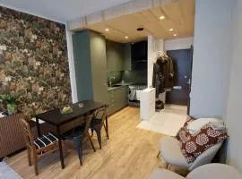 Rovaniemi traveller's nest