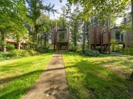 3-Level Home with Rooftop