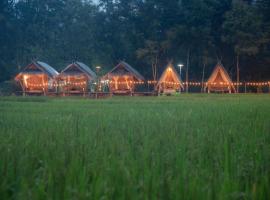 Paddy Fields Haven - Natures Nest, hotel v destinaci Pai