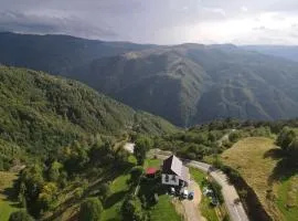 Cabana Alpina Jina