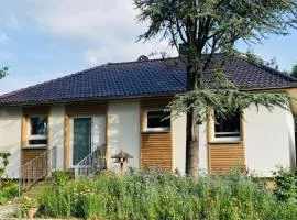 Ferienhaus Urwald