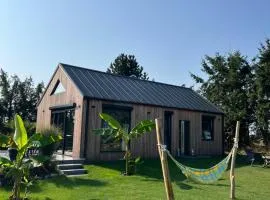 BananaHouse