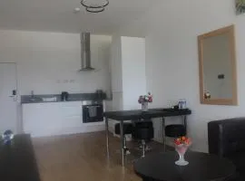 Flat 413 One bedroom apartment