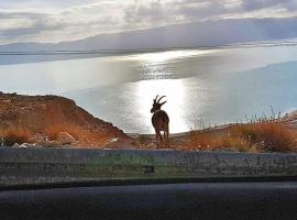 Patricia & Eilam house, chỗ nghỉ tự nấu nướng ở Ein Gedi