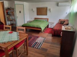 הבית הירוק - Green House, hotel v destinaci Arad