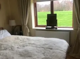 Druids Glen Spacious private double room with en-suite
