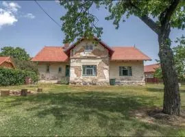 Fara Bošín