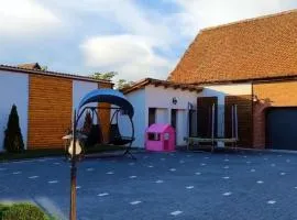 Transilvania Guesthouse
