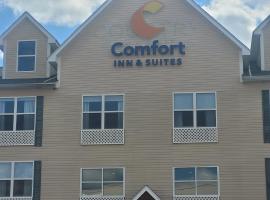 Comfort Inn & Suites, hotel u gradu 'Dothan'