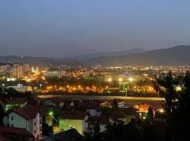 Stan na dan Kaan