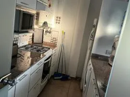 Scout Apartament