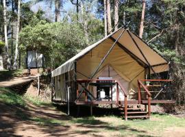 Creek Glamping Tent, hotel in Commissioners Creek