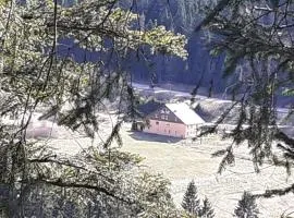 Domaine Des Hauts Viaux